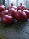 image (8).webp