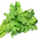 SQ106728.webp