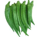 SQ109003.webp