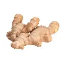 SQ109015.webp