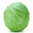 SQ101374.webp