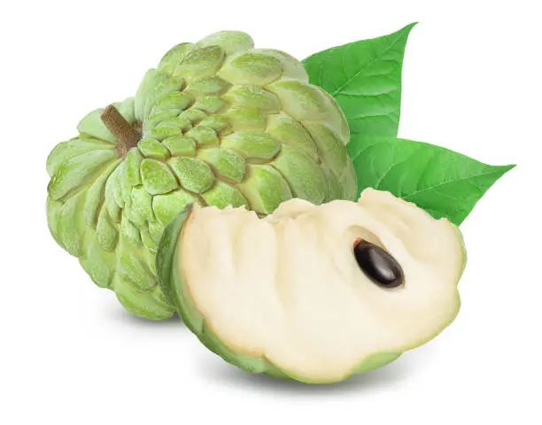 Custard Apple3.webp