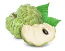 Custard Apple3.webp