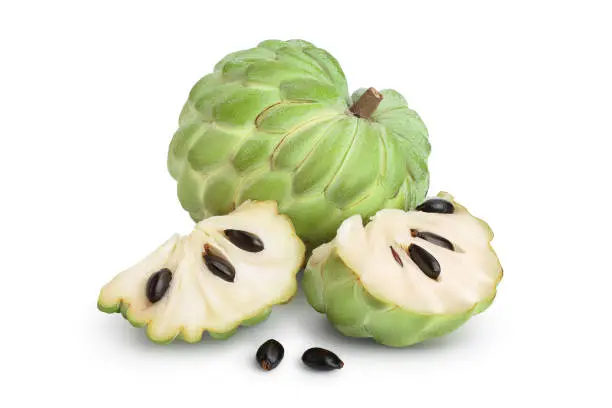 Custard Apple2.webp