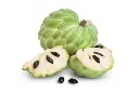 Custard Apple2.webp