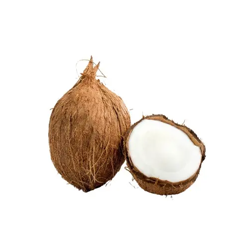 Starfresh_Coconut_1_Pc_1.webp