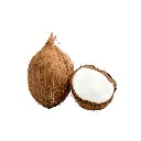 Starfresh_Coconut_1_Pc_1.webp