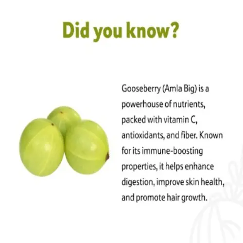 Gooseberry_Amla_Big_About_500_Gm_2.webp