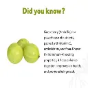 Gooseberry_Amla_Big_About_500_Gm_2.webp