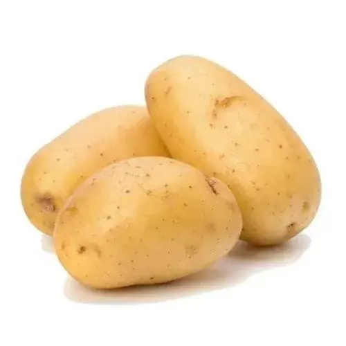 SQ109019.webp