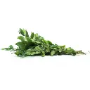 Curry Leaves (करी पत्ता) 1 Bunch