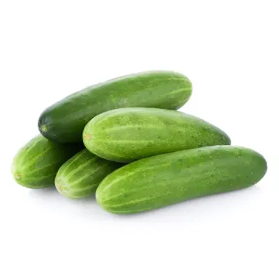 Cucumber (खीरा / ककड़ी) About 1 Kg