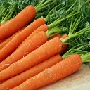 Carrot (गाजर) 500GMS