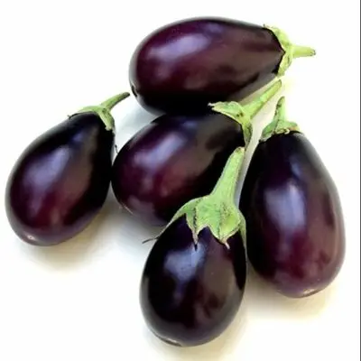 [baigan] Brinjal Bharta Voilet - About 600 Gm