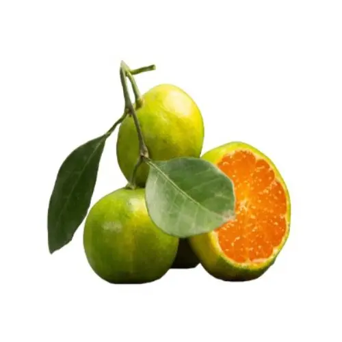 [Mosambi] Sweet Lime (मोसंबी) 1Kg