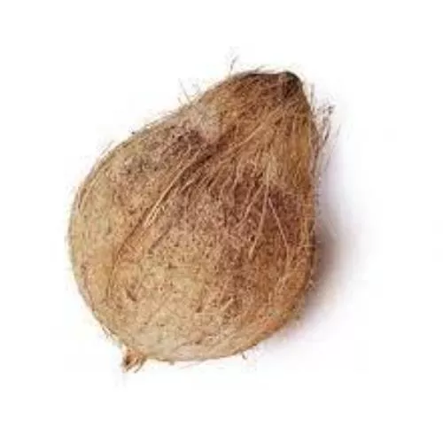 [Nariyal] Coconut (नारियल) 