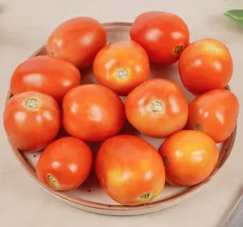 Tomato 500 (आहा टमाटर)